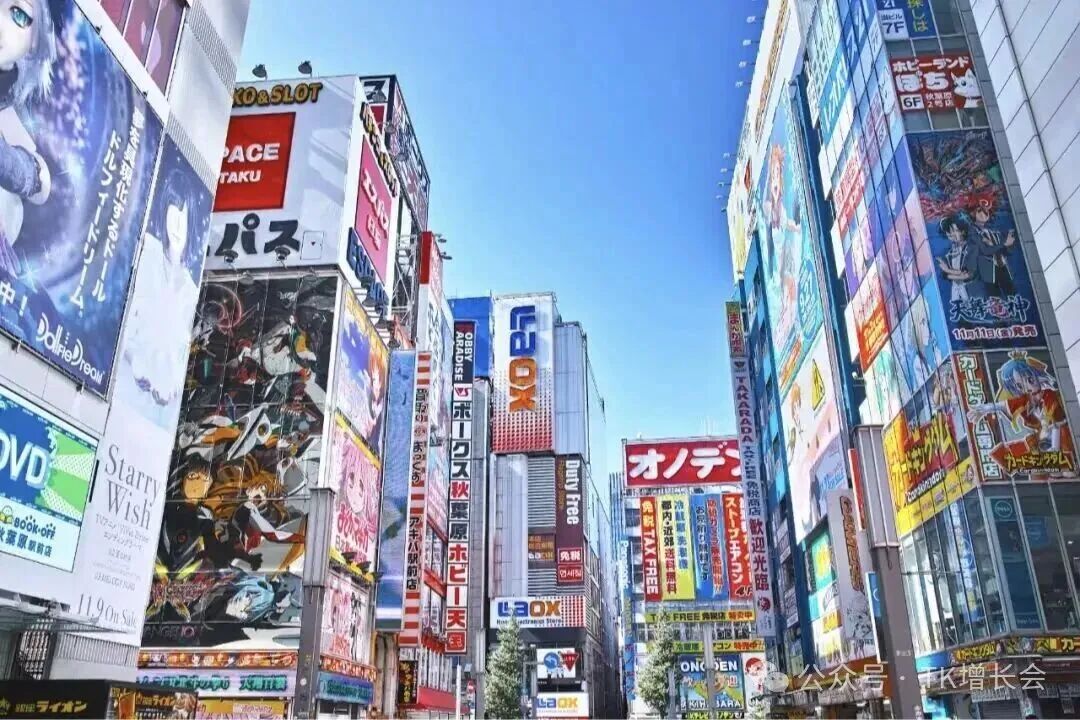 1769506800669871.jpg 16.jpg